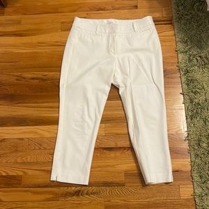 Loft pants